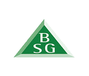 BSG